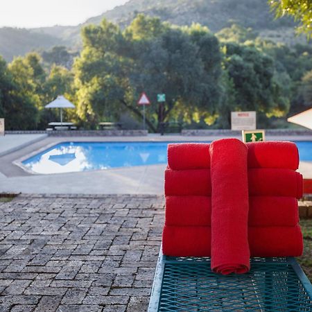 26° South Bush Boho Hotel Muldersdrift Exterior photo
